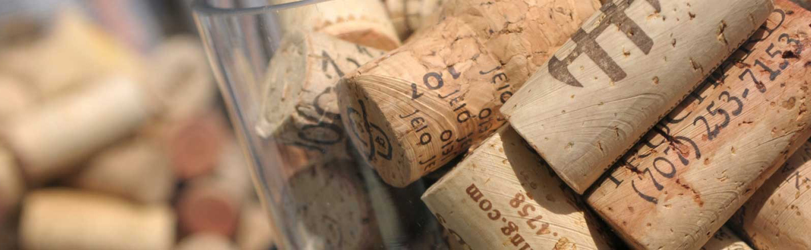 corks-1920x494