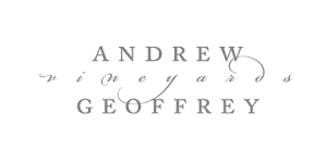 andrew1 andrew1
