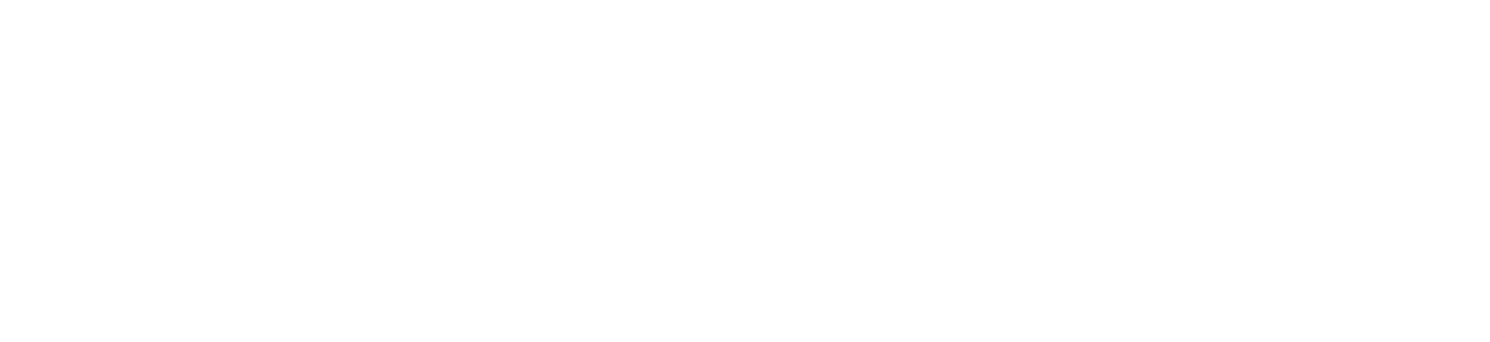 Show Imaging logo