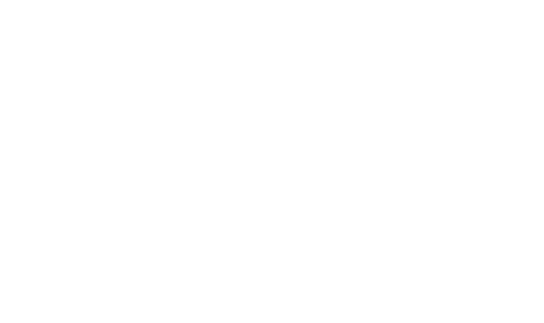 Shiley Foundation