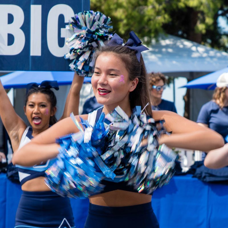 Torero Tailgate